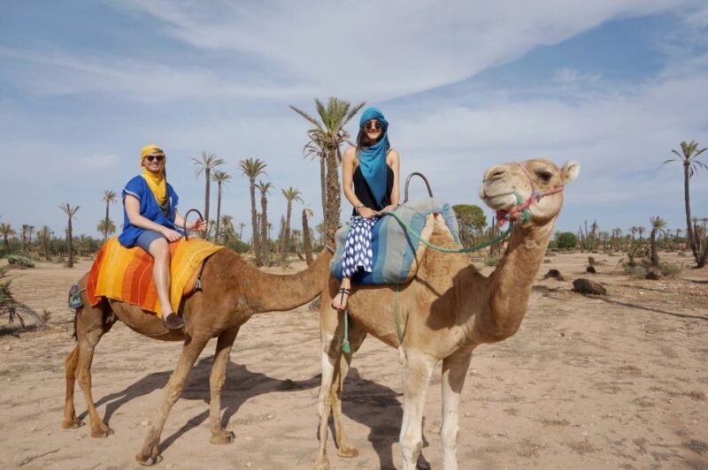 Marrakech Palmeraie: Camel Ride at Sunset - Key Points