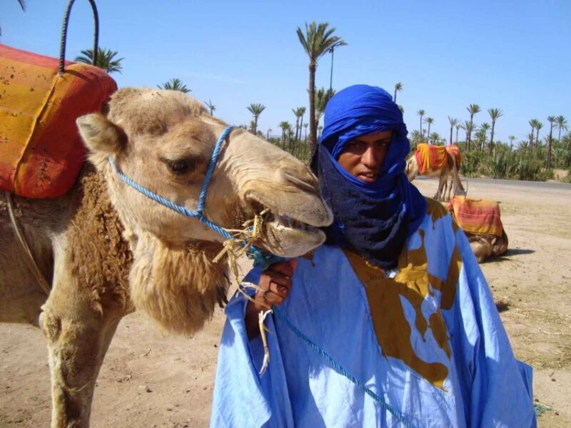 Marrakech Palmeraie: Camel Ride at Sunset - A Detailed Look at the Marrakech Camel Ride Experience
