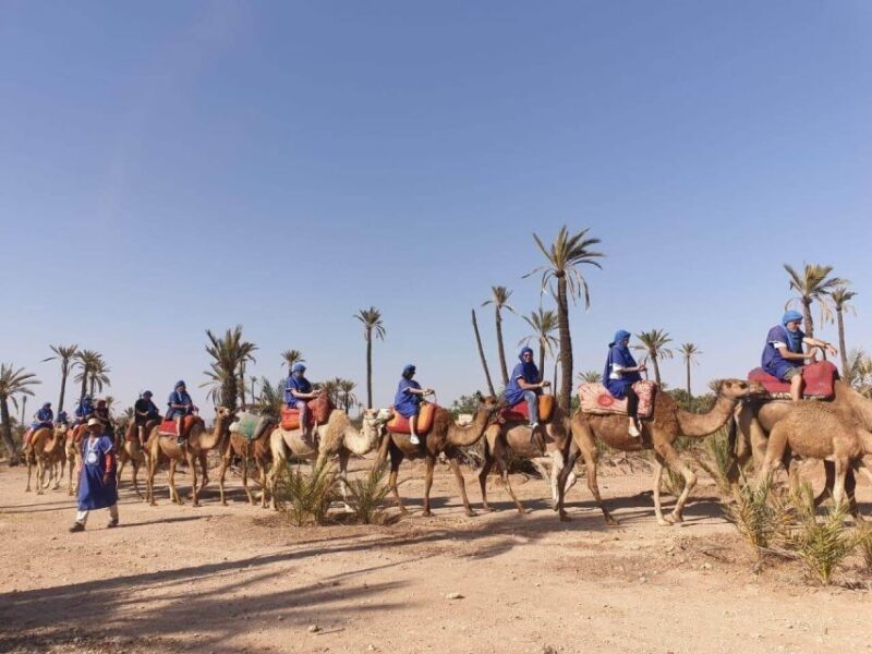 Marrakech Palmeraie: Camel Ride at Sunset - What Could Be Better?