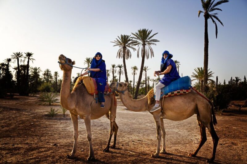 Marrakech Palmeraie: Camel Ride at Sunset - Who Will Love This Tour?