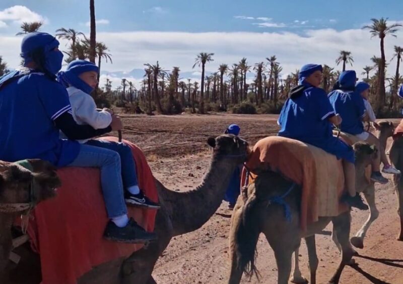 Marrakech: Palmeraie Camel Ride & Traditional Moroccan Spa - The Sum Up