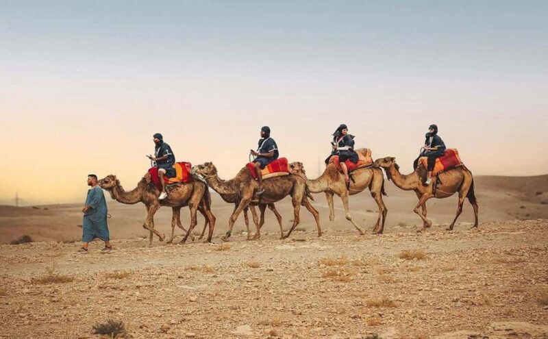 Marrakech : palmeraie Desert agafay Quad Bike, Camel Ride - Analyzing the Value