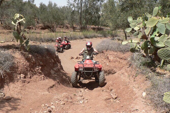 Marrakech palmeraie Quad Bike Experience with transfers - An Overview of the Quad Bike Tour Experience