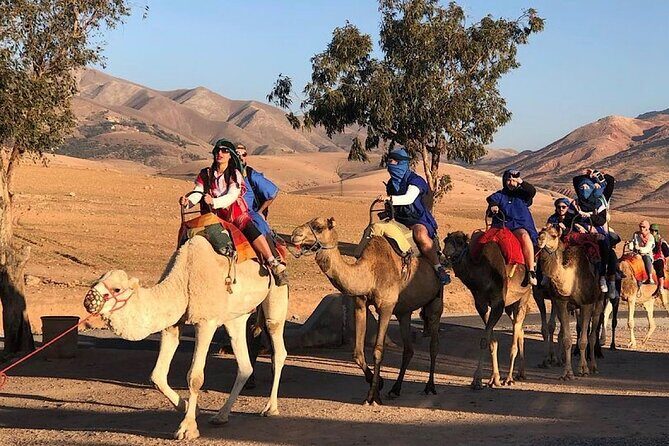 Marrakech : Paragliding & Atlas Mountains Trip - Who Will Enjoy This Tour?