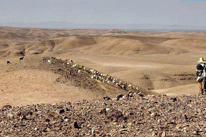 Marrakech private day tour to Agafay desert & Lake Takerkoust - An In-Depth Look at the Marrakech to Agafay & Lake Takerkoust Tour
