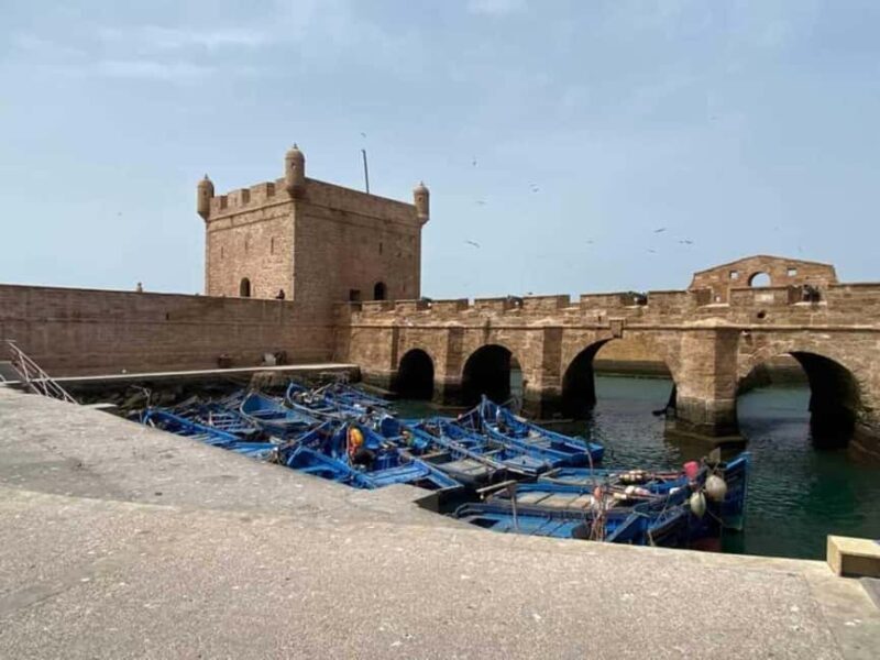 Marrakech: Private Full-Day Trip To Essaouira souk &Medina - The Return Journey: Relaxed and Satisfied