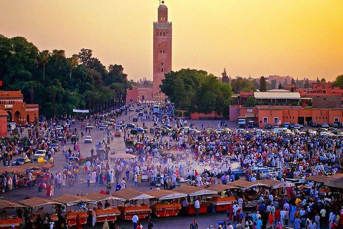 Marrakech: Private Guided Half-Day City Tours - An Introduction to Marrakechs Most Notable Sights