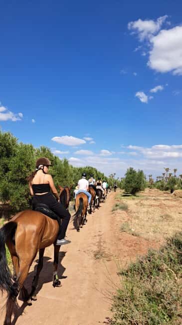 Marrakech: Private Horseback Tour in the Palm Grove with Tea - Key Points