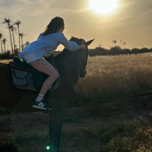 Marrakech: Private Horseback Tour in the Palm Grove with Tea - An In-Depth Look at the Marrakech Horseback Tour