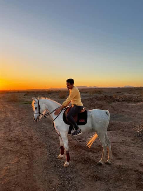 Marrakech: Private Horseback Tour in the Palm Grove with Tea - FAQ