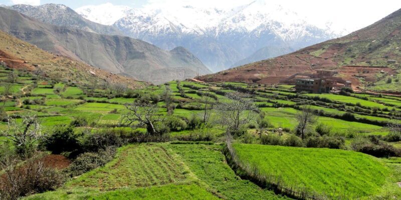Marrakech: Private Ourika Valley & Atlas Mountains Tour - FAQ