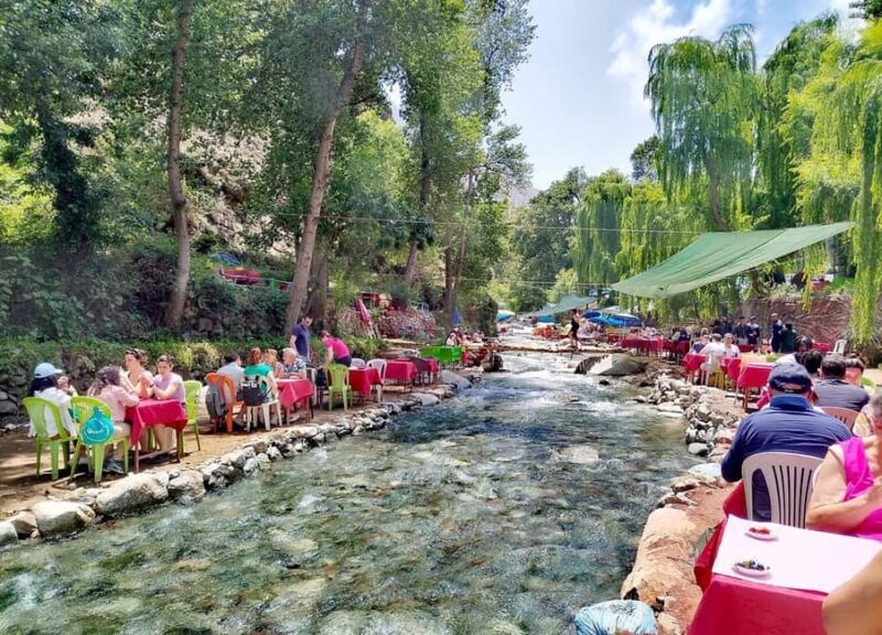 Marrakech : Private To Ourika Valley Atlas Mountains & Lunch - Discovering the Ourika Valley: A Balanced Look at a Popular Day Trip
