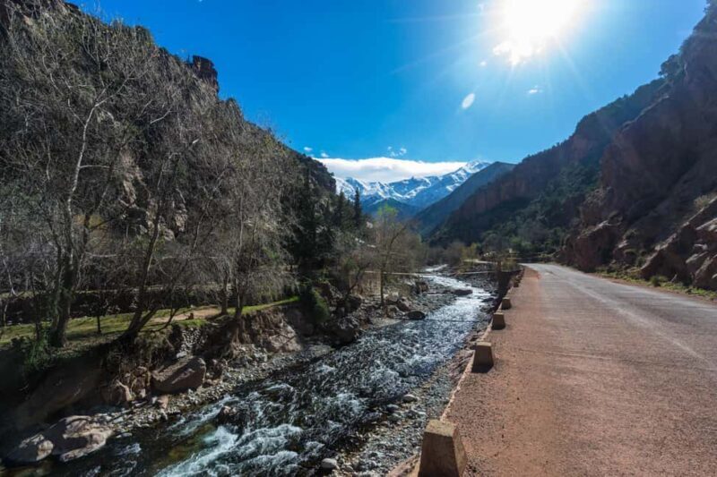 Marrakech : Private To Ourika Valley Atlas Mountains & Lunch - The Sum Up: Who Should Book This Tour?