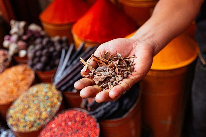 Marrakech PRIVATE TOUR With Locals: Highlights & Hidden Gems - The Sum Up