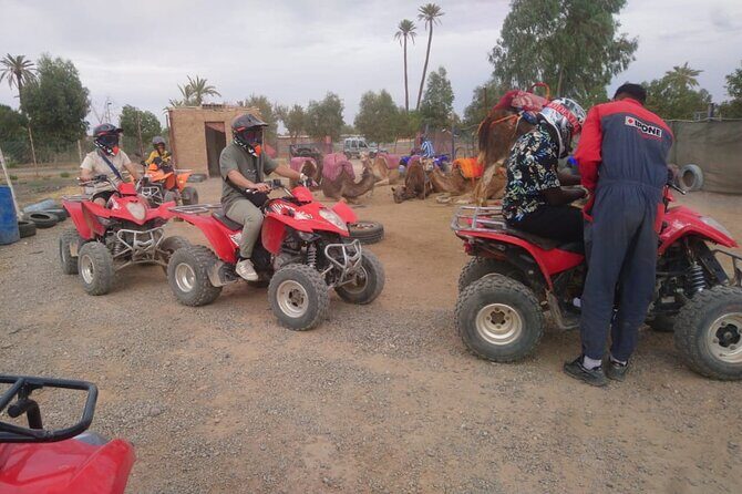 Marrakech Quad Bike Activity in desert palmeraies grove - An In-Depth Look at What the Tour Offers