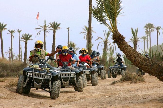 Marrakech Quad Bike ATV on the Palm Groves - A Thorough Look at the Marrakech Quad Bike Tour