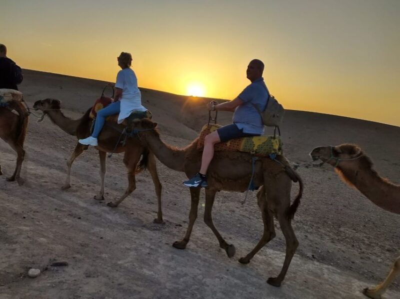 Marrakech: Quad Bike & Camel with dinner show & sunset - Real Traveler Feedback