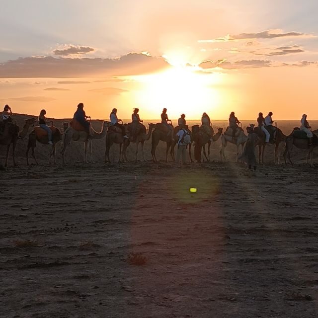Marrakech: Quad Bike & Camel with dinner show & sunset - Who Is This Tour Best Suited For?
