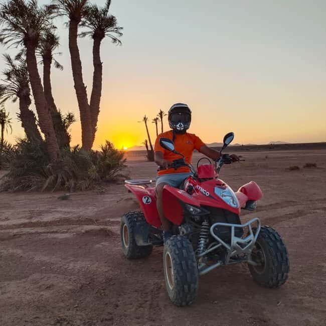 Marrakech: Quad Bike Tour to Palm Oasis and Jbilat Desert - Who Should Consider This Tour