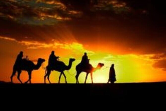 Marrakech: Quad & Camel Ride with Sunset, Dinner & Show - Key Points