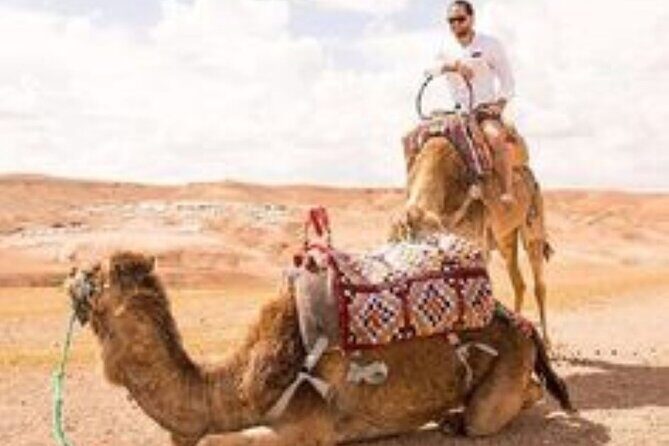 Marrakech: Quad & Camel Ride with Sunset, Dinner & Show - Who Is This Tour Best For?