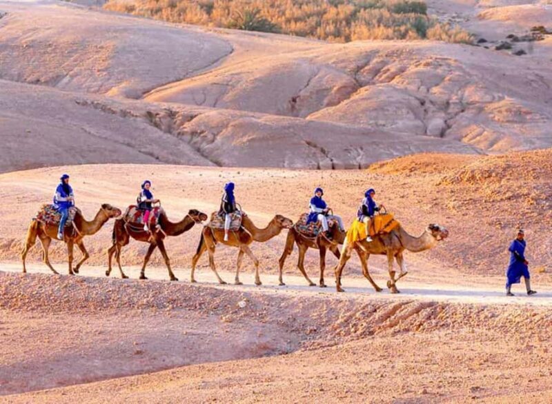 Marrakech: Quads & Camels on Sunset and Dinner With FireShow - Final Thoughts