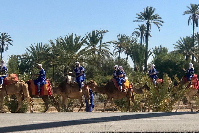 Marrakech Sahara Tours & Day Trips - FAQs