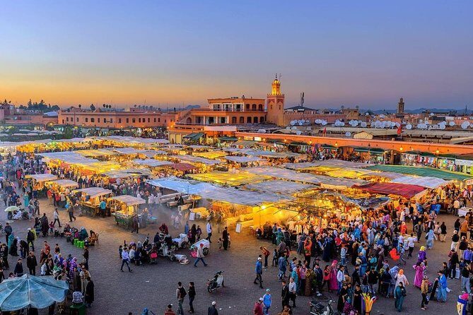 Marrakech shore excursion from Agadir - Who Should Consider This Tour?