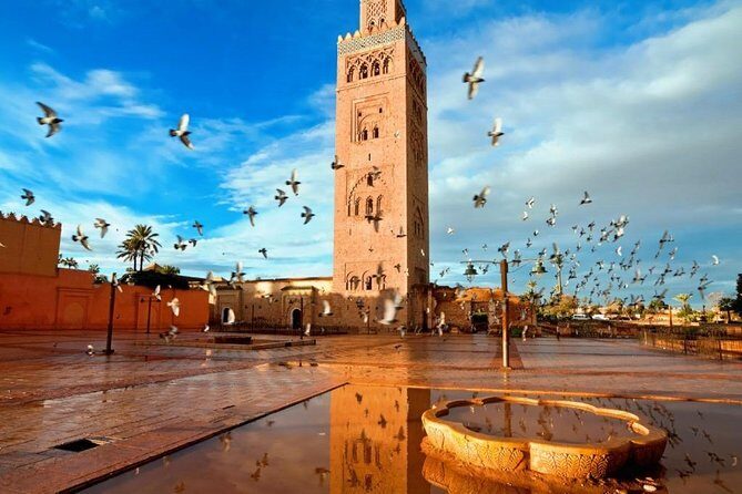Marrakech Sightseeing Tour - Final Thoughts