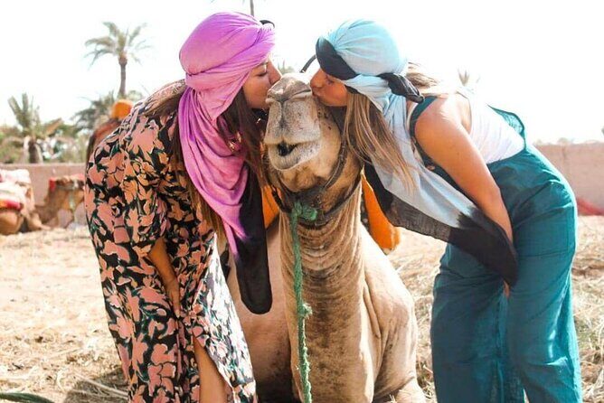 Marrakech Sunset Camel Ride in the Palm Grove - Exploring the Marrakech Sunset Camel Ride