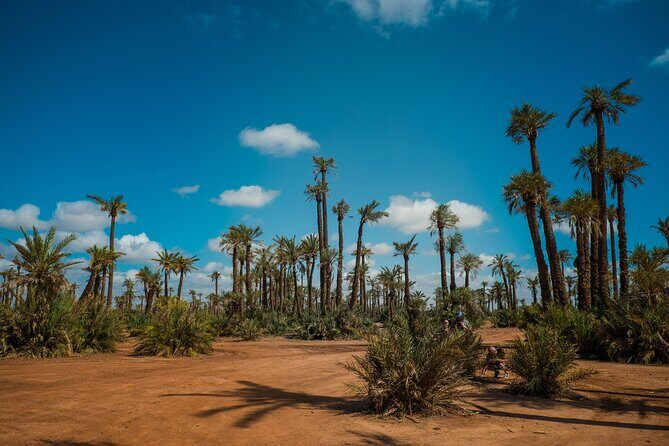 Marrakech Sunset Camel Ride in the Palm Grove - FAQs