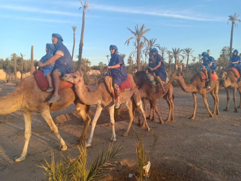 Marrakech: Sunset Camel Ride in the Palmeraie - Key Points