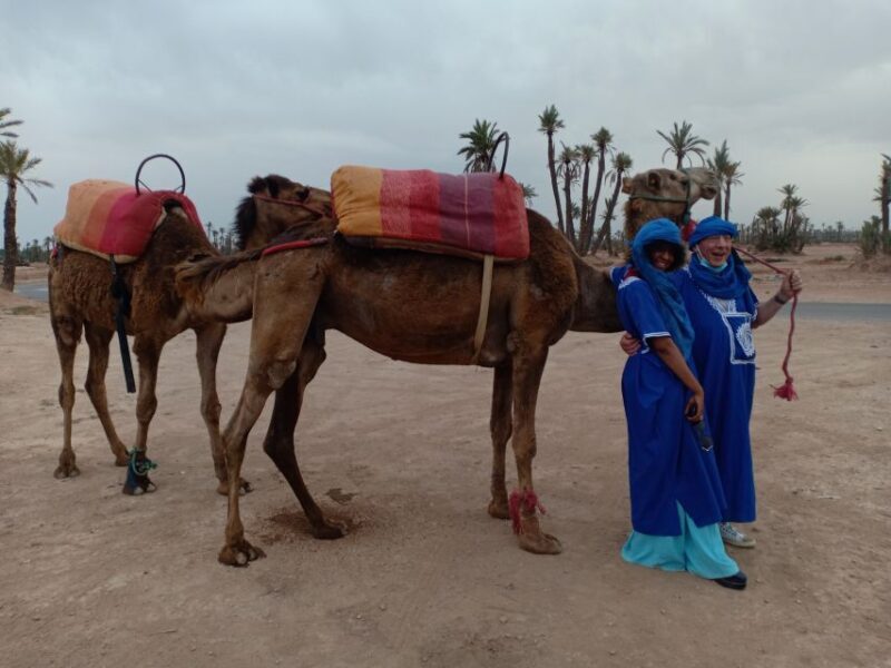 Marrakech: Sunset Camel Ride in the Palmeraie - What Travelers Are Saying