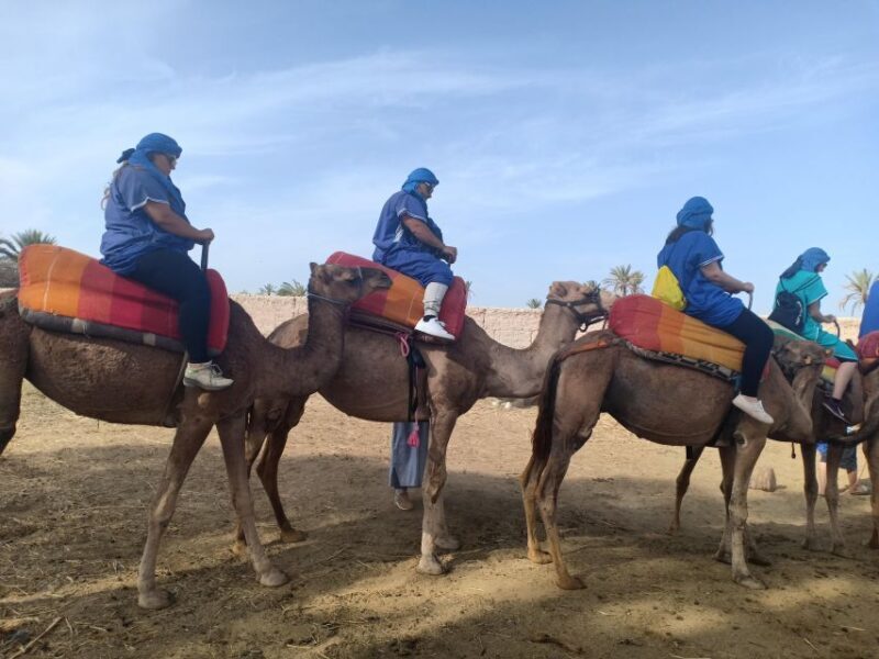 Marrakech: Sunset Camel Ride in the Palmeraie - Who Should Consider This Tour?
