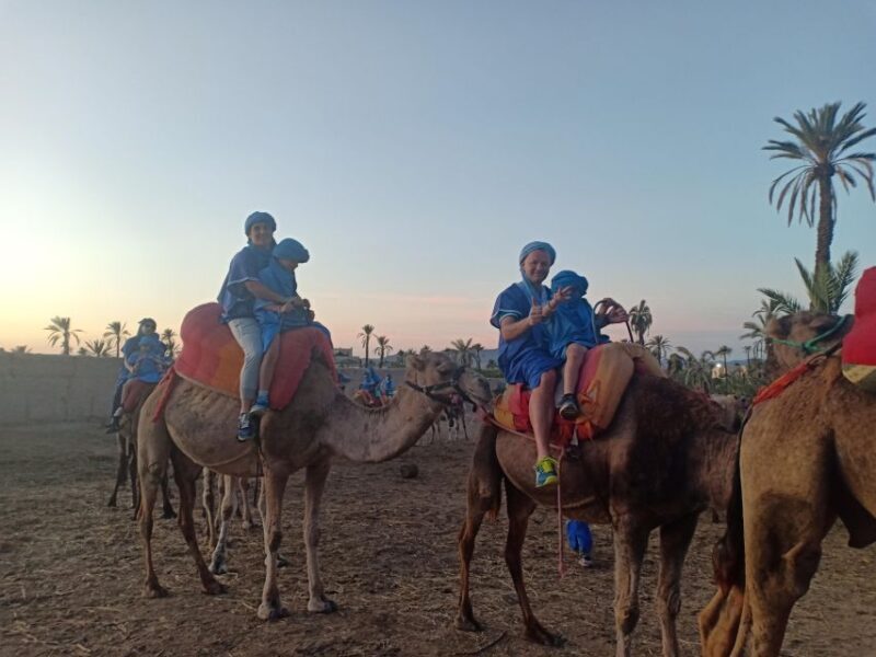 Marrakech: Sunset Camel Ride in the Palmeraie - Final Thoughts