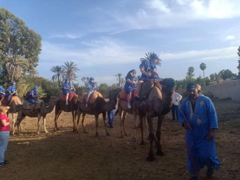 Marrakech: Sunset Camel Ride in the Palmeraie - FAQs