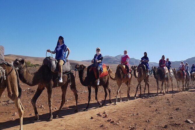 Marrakech: Three Valleys, Atlas, Camel Ride, Waterfalls, & Lunch - Practical Tips