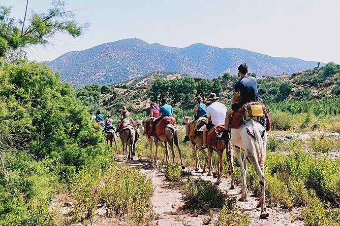 Marrakech to Atlas Mountains and 4 Valleys Day Trip - Who Should Consider This Tour?