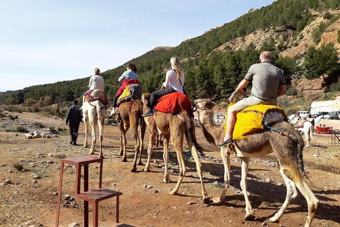 Marrakech to Atlas Mountains and 4 Valleys Day Trip - The Sum Up