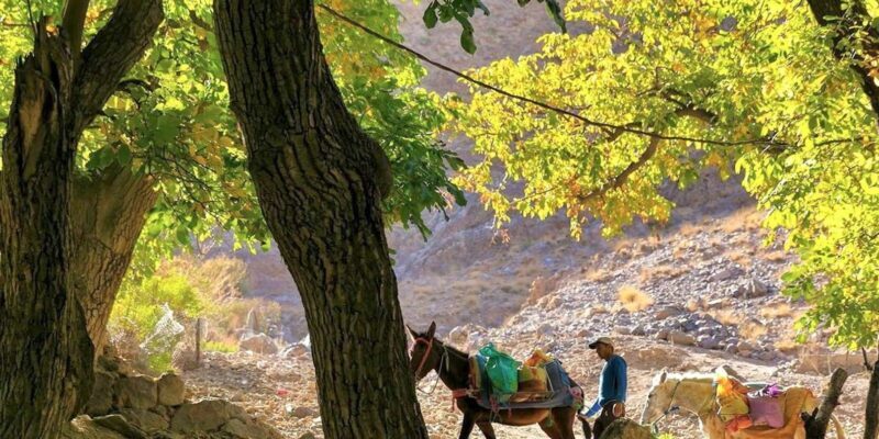 Marrakech To Atlas Mountains : Imlil Valley Walk with Lunch - What’s Included and Why It Matters