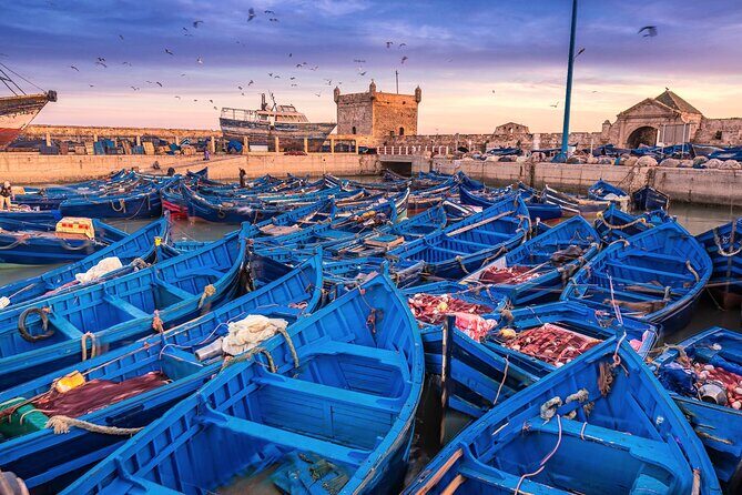 Marrakech to Essaouira: Day of Discovery Along Morocco Coastal - Discovering the Essence of Morocco’s Atlantic Coast