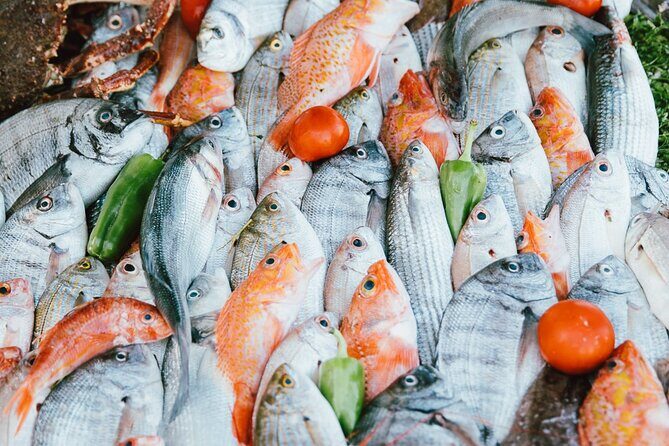 Marrakech to Essaouira: Day of Discovery Along Morocco Coastal - What Travelers Say