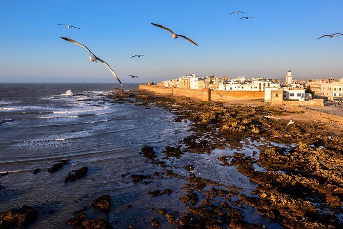 Marrakech to Essaouira / Small group day tour To Essaouira - Frequently Asked Questions