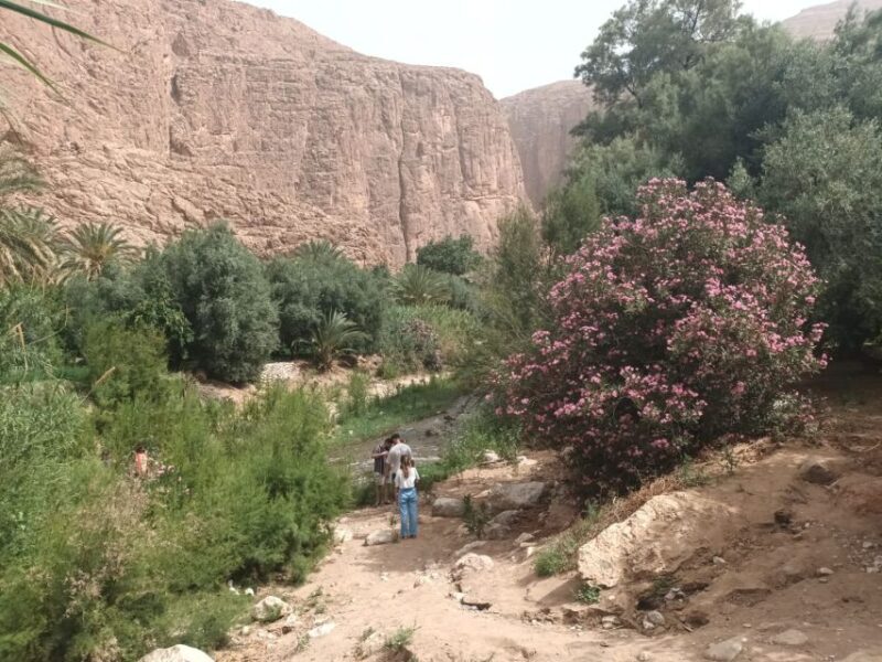 Marrakech to Fes 3 day Desert Tour Camel & luxury Tente - Practical Considerations