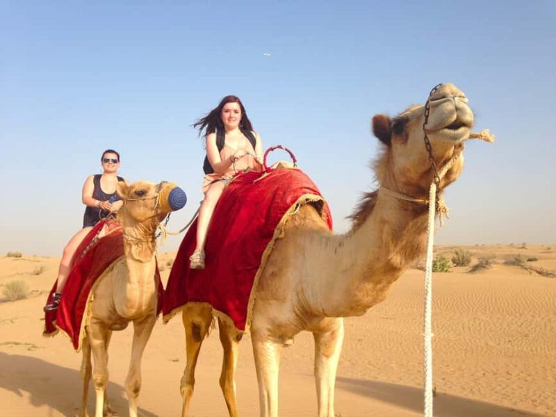Marrakech To Fes: 3-day Merzouga Desert, Luxury Privat Tent - A Day Among Fossils, Cedars, and Mountains