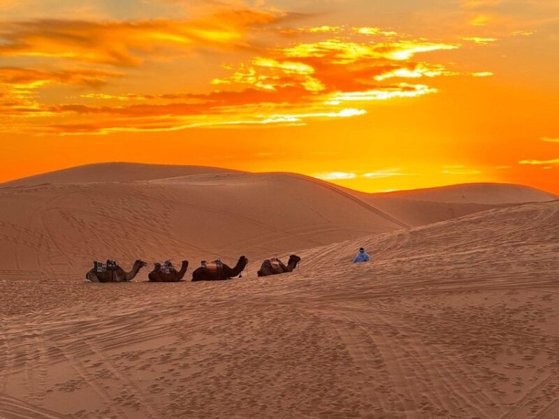 Marrakech to Fes: 3-Day Sahara Desert Tour & Camel Ride - An In-Depth Look at the Marrakech to Fes Sahara Tour