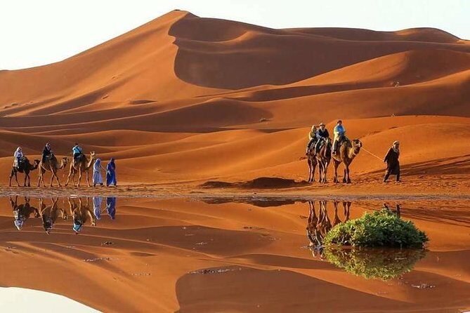 Marrakech to Fes 3 days desert tour - Introduction: What to Expect from the Marrakech to Fes 3-Day Desert Tour
