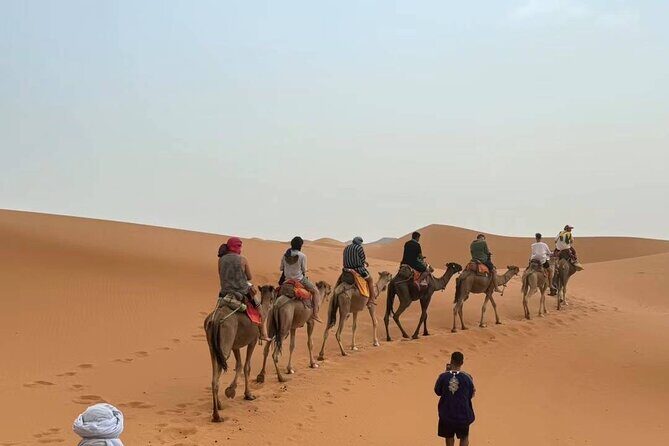 marrakech to fes desert tour 2 days - Practical Tips for Travelers