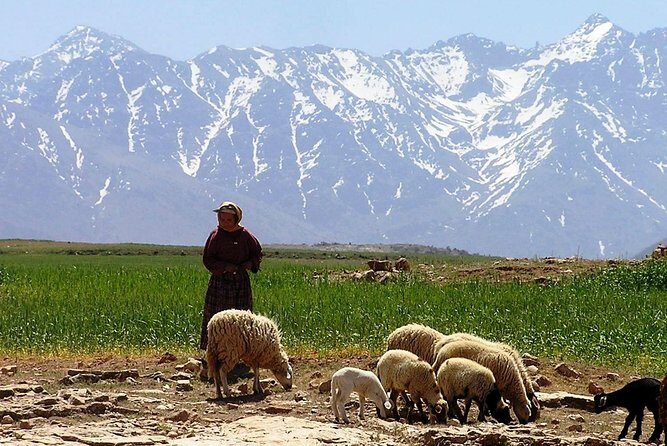 Marrakech to Fes desert tour 3 days & Camel trek (All-inclusive) - The Sum Up