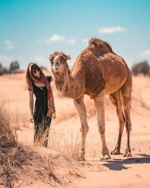 Marrakech to Fes: Quad, Dinner, Camel, 3-Day Desert Tour - What’s Included and What’s Not